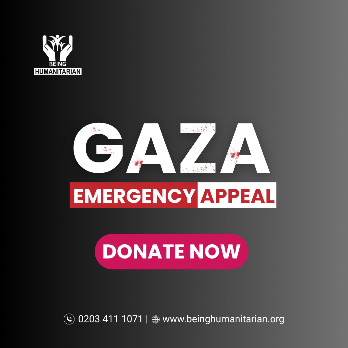 Gaza Emergency Appeal